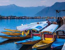 Shikara Ride in Srinagar | Dal Lake Sightseeing Experience | Poise Travels