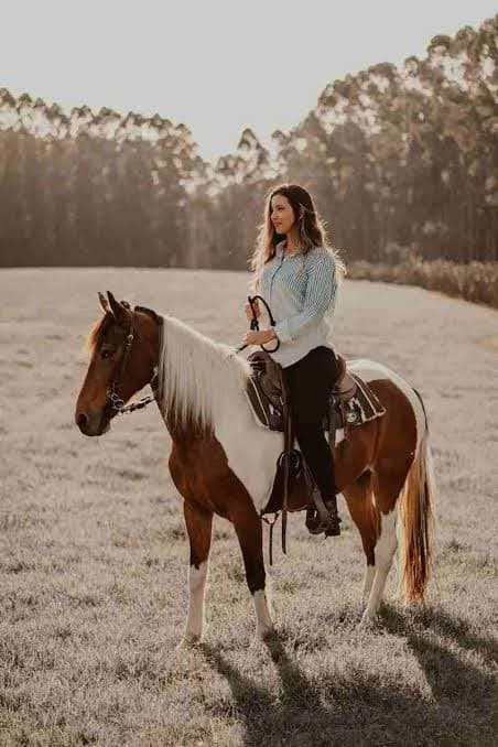 Pony Ride in Kashmir — Prices, Routes & Everything You Need to Know